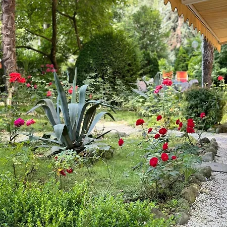 Hotel Villa Westend-2