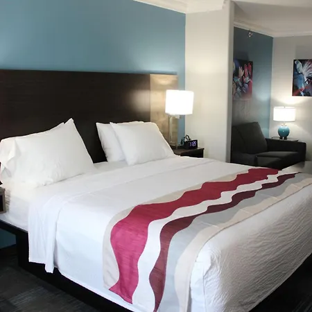Best Western Medical Center North Inn & Suites Near Six Flags-2