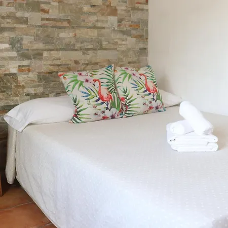 Hostal Residencial La Paloma II-2