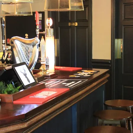 The Buck Hotel-2