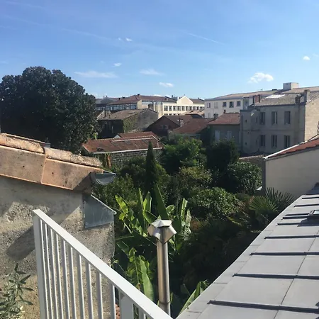 La Canopée-3
