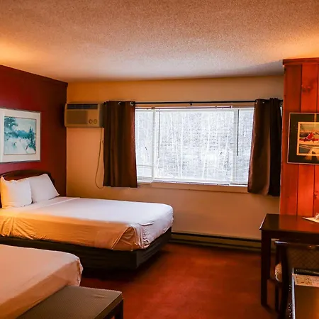 Snowy Owl Inn-3