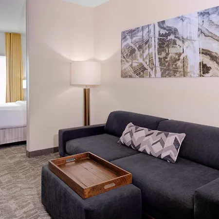 Springhill Suites By Marriott Memphis East Galleria-2