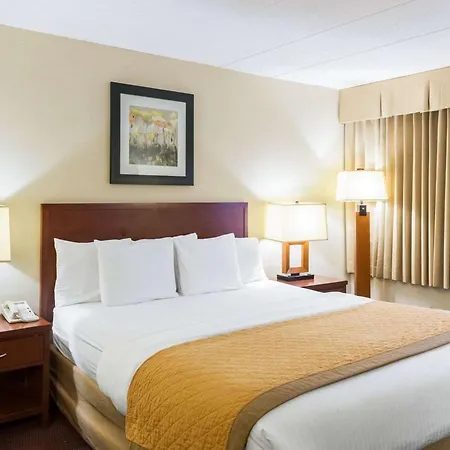 Clarion Hotel Somerset - New Brunswick-3