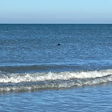 Côté mer-2