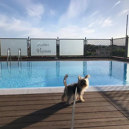 Pet Hotel Virginia - Hotel per cani-3
