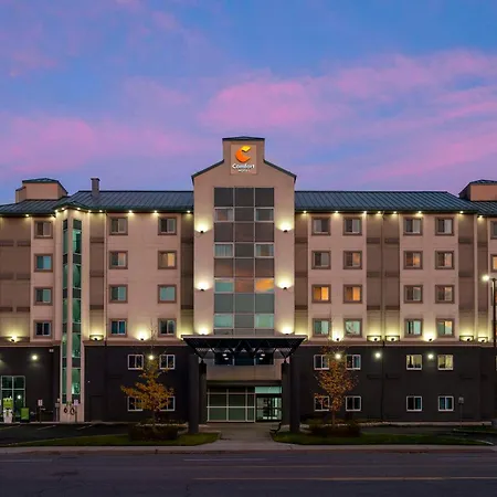 Comfort Hotel-3