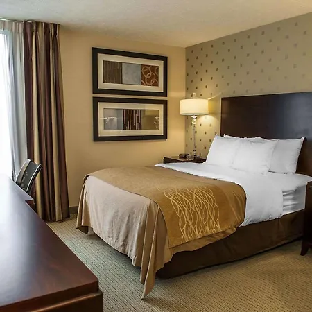 Comfort Inn Bloomington Near University-3