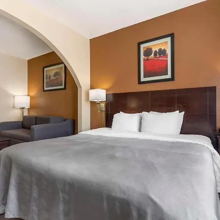 Quality Inn & Suites Wichita Falls I-44-2