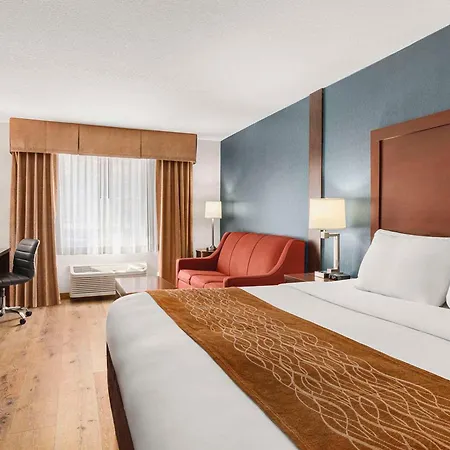 Comfort Inn & Suites Vancouver Downtown City Center-2