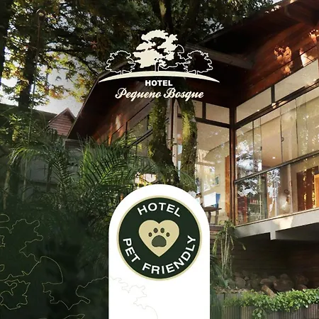 Hotel Pequeno Bosque-2