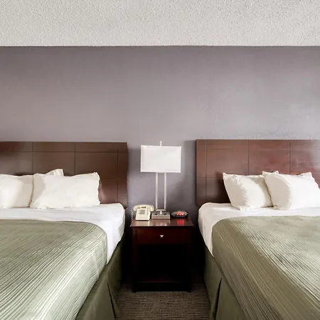 Oyo Hotel Alexandria La- Hwy 165-2