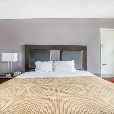 Oyo Hotel Alexandria La- Hwy 165-3