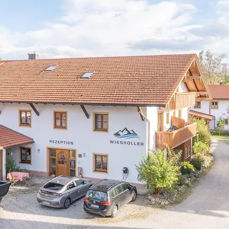 Gäste- und Apartmenthaus Wiesholler-3