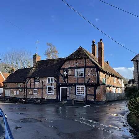 The Plume Of Feathers-2