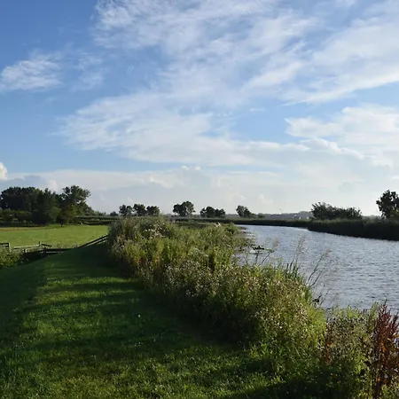 Zwier, de Vrijhaven-2
