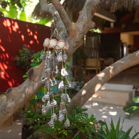 Casa Mariposa Beach Hotel-2