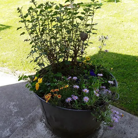 Un week-end à la campagne-2