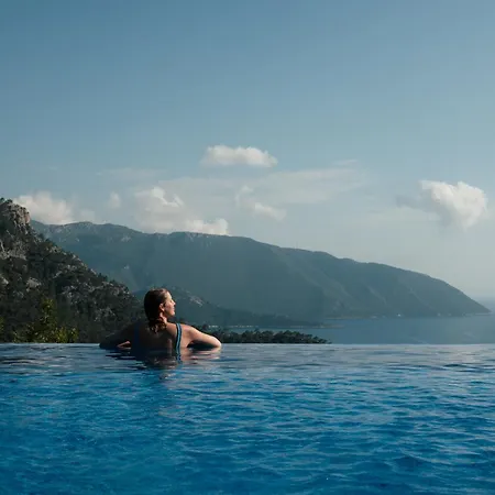 Olive Garden Kabak-2