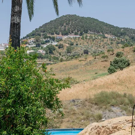El bufon de la corte-3
