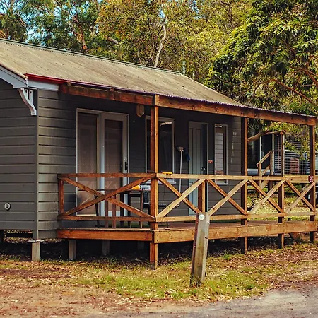 Bimbi Park - Camping Under Koalas-2