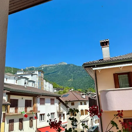 Stella d'Oro-2