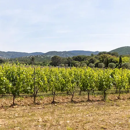 Chateau Maravenne-2