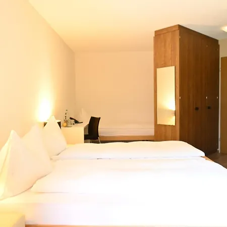 Seeblick Hoehenhotel-2