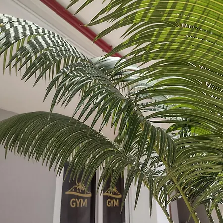 Hotel Algorfa-3