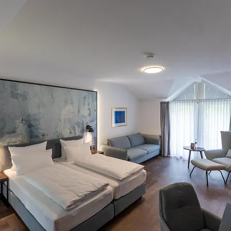 Hotel Hirsch-2