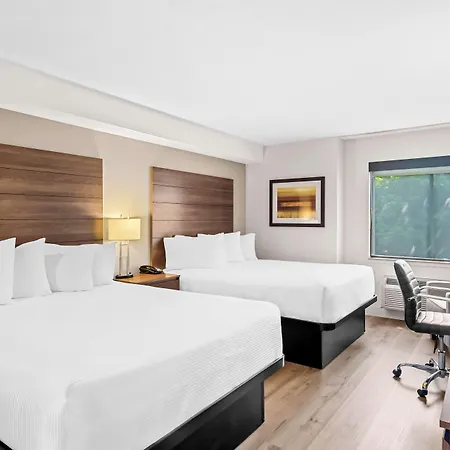 Best Western Maple Ridge-3