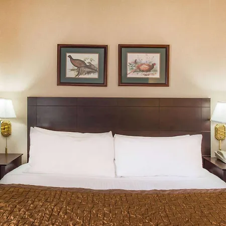 Hawthorn Extended Stay By Wyndham El Paso-3
