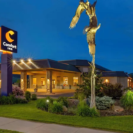 Comfort Inn Bozeman Near University-3