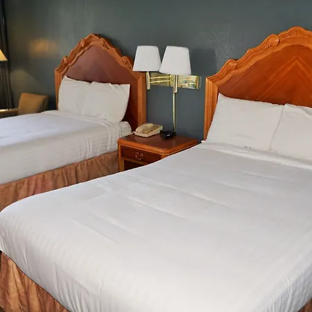 Hotel Elev8-2