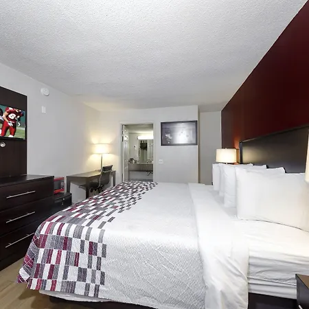 Red Roof Inn Atlanta - Suwanee/Mall Of Georgia-2