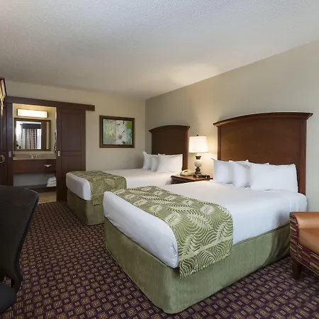Rosen Inn International Near The Parks-2