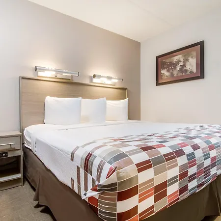 Red Roof Inn Detroit - Farmington Hills-3