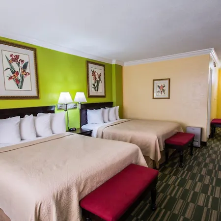 Comfort Inn & Suites Ormond Beach Oceanfront-2
