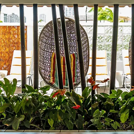Oasis Hotel Waikiki-3