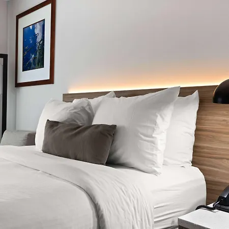 Wyndham Garden Manassas-2