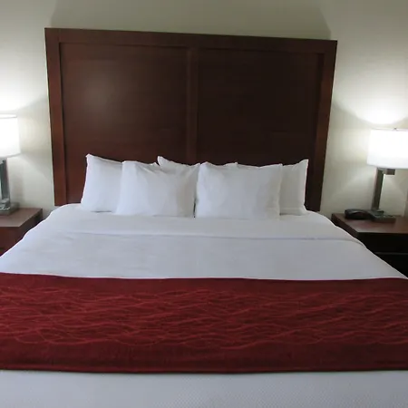 Comfort Inn Wichita Falls Near University-3