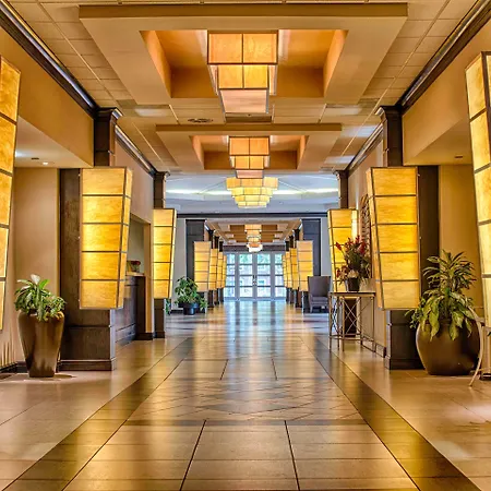 Hotel Capstone-3