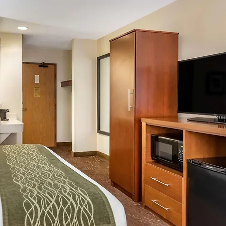 Comfort Inn Okemos - East Lansing-2