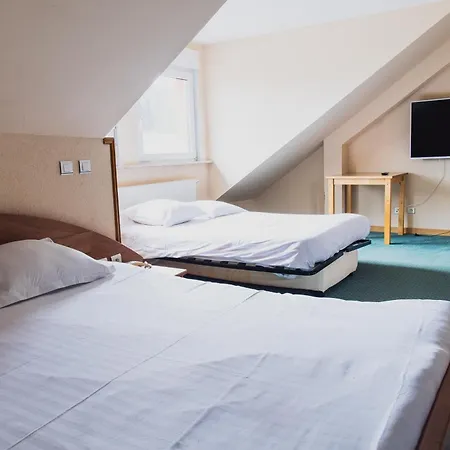 Hotel Du Donon-2