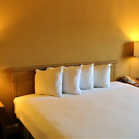 The Midtowner Hotel, Surestay Collection By Best Western-3