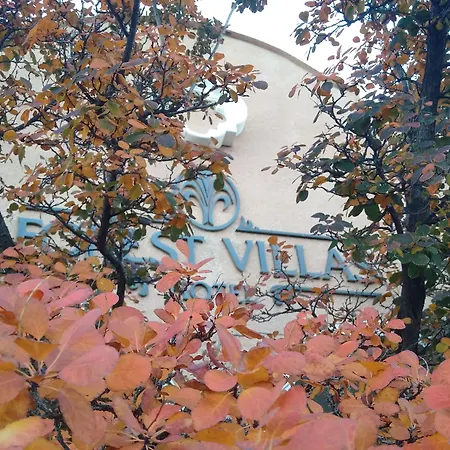Forest Villas Hotel-3