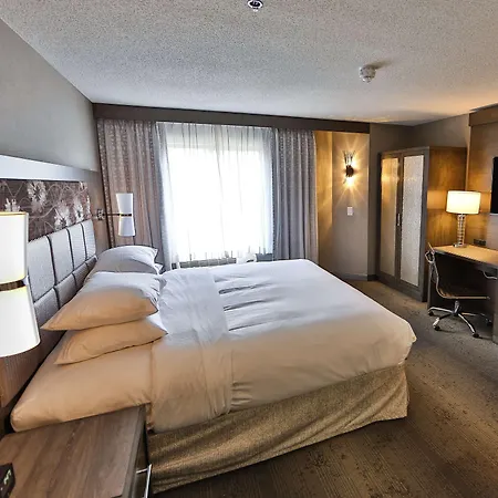 Doubletree By Hilton Atlanta Alpharetta-Windward-3