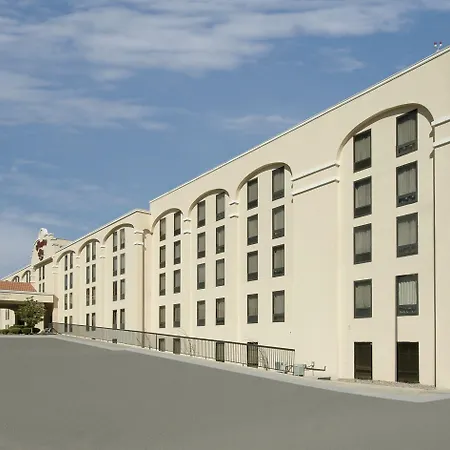 Hampton By Hilton Chihuahua-2