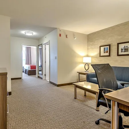 Comfort Inn & Suites South-2