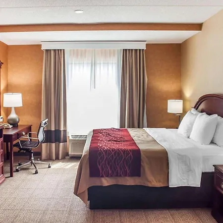 Quality Inn Near Walden Galleria Mall-2